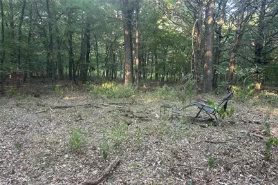 Tbd Pearce Road, Collinsville, TX 76233 - Photo 12