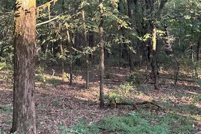 Tbd Pearce Road, Collinsville, TX 76233 - Photo 8