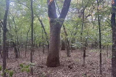 Tbd Pearce Road, Collinsville, TX 76233 - Photo 16