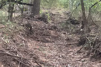 Tbd Pearce Road, Collinsville, TX 76233 - Photo 22