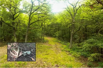 Tbd Pearce Road, Collinsville, TX 76233 - Photo 1