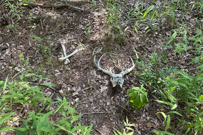 Tbd Pearce Road, Collinsville, TX 76233 - Photo 2