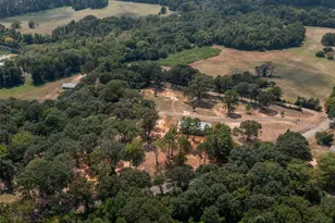 22080 Cr 4117, Frankston, TX 75763 - Photo 1