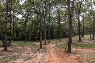 22080 Cr 4117, Frankston, TX 75763 - Photo 26