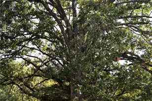 4120 E Interstate 30, Campbell, TX 75422 - Photo 30