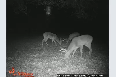 3102 County Road 3115, Greenville, TX 75402 - Photo 40