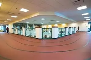 1649 Antelope Hills Dr, Frisco, TX 75036 - Photo 38