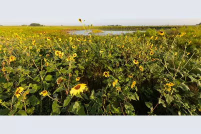 7545 Cr 1228, Godley, TX 76044 - Photo 20