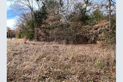 0000 State Hwy 64, Ben Wheeler, TX 75754 - Photo 4