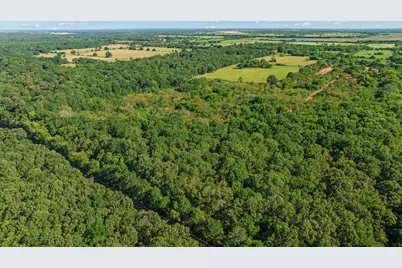 Tbd Fr 194, Blossom, TX 75416 - Photo 10