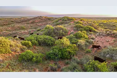 1241 County Road 24, Estelline, TX 79201 - Photo 36