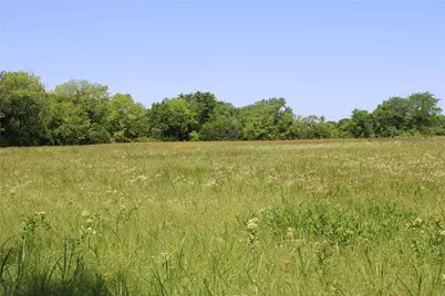 Tbd 1233 County Road 3210 Street, Dodd City, TX 75438 - Photo 4