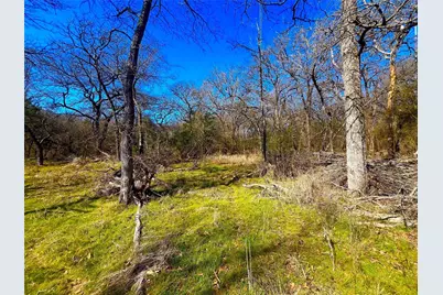 Tbd 13.7+/- Acres County Road 2560, Alvord, TX 76225 - Photo 22