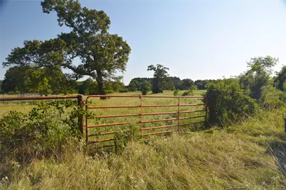 Tbd Vz County Road 1821, Grand Saline, TX 75140 - Photo 6
