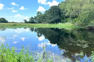 130 Pr 479, Fairfield, TX 75840 - Photo 26