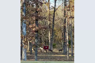 545 County Road 42540, Paris, TX 75462 - Photo 36