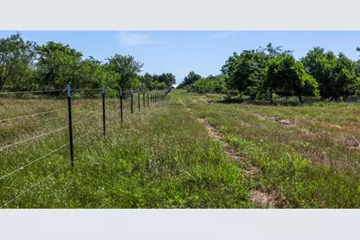 Tract 2 Tbd Lcr 392, Groesbeck, TX 76642 - Photo 22