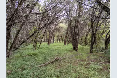 Tbd Woodland Circle, China Spring, TX 76633 - Photo 4