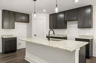 489 Peace Lily Wy, Tolar, TX 76476 - Photo 4