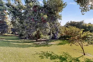 9222 Church Rd, Dallas, TX 75231 - Photo 36