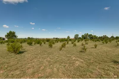 231 Remington Drive, Waxahachie, TX 75165 - Photo 6