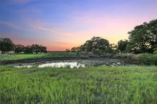 1286 Co Rd 4698, Boyd, TX 76023 - Photo 4