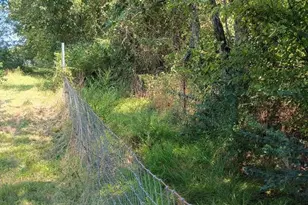 634 E Eubank St, Mabank, TX 75147 - Photo 36