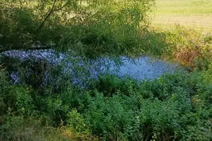 634 E Eubank St, Mabank, TX 75147 - Photo 38