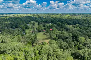 815 Vz County Rd 4409, Ben Wheeler, TX 75754 - Photo 32