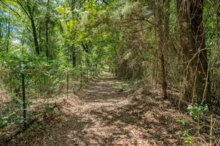 815 Vz County Rd 4409, Ben Wheeler, TX 75754 - Photo 34