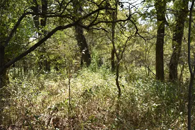 Tbd39Ac SW Co Rd 2340, Richland, TX 76681 - Photo 16