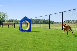 1003 Sedona Trl, Justin, TX 76247 - Photo 36