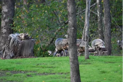 30075 Woodcrest Drive, Whitney, TX 76692 - Photo 16