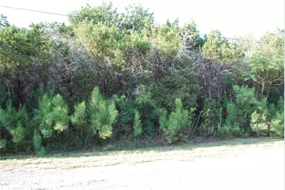 30075 Woodcrest Drive, Whitney, TX 76692 - Photo 4