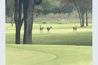 18049 Southhill Drive, Whitney, TX 76692 - Photo 10