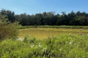 268 Farm Rd 275 S, Cumby, TX 75433 - Photo 10