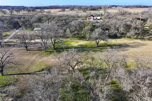 229 W Bluff Ln, Millsap, TX 76066 - Photo 30