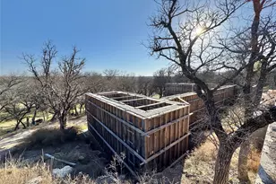 229 W Bluff Ln, Millsap, TX 76066 - Photo 18