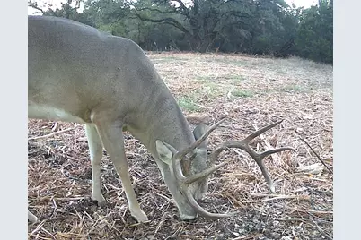 Tbd Fm 708A, Clifton, TX 76634 - Photo 2