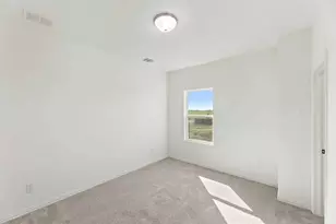 14100 Harden, Pilot Point, TX 76258 - Photo 26