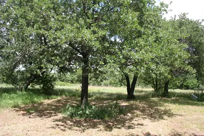 215A Buzbee Road, Palo Pinto, TX 76484 - Photo 1