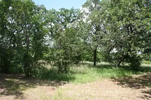 215A Buzbee Rd, Palo Pinto, TX 76484 - Photo 2