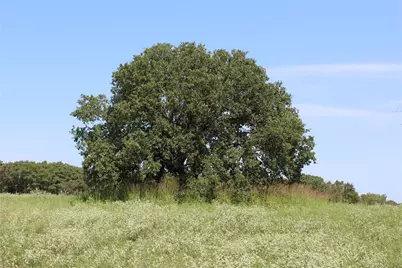 0000 Blackjack Parkway, Montague, TX 76251 - Photo 4