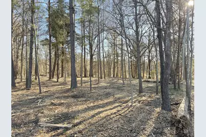 Tbd Lot 1 County Road 2200, Mineola, TX 75773 - Photo 22