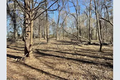 Tbd Lot 1 County Road 2200, Mineola, TX 75773 - Photo 24