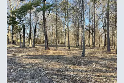 Tbd Lot 1 County Road 2200, Mineola, TX 75773 - Photo 16