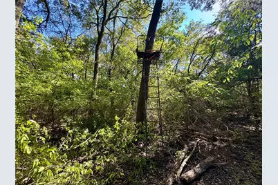 648 Cr 4618, Wolfe City, TX 75496 - Photo 26