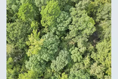 111 Cr 1511, Avinger, TX 75630 - Photo 20