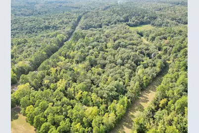 111 Cr 1511, Avinger, TX 75630 - Photo 18