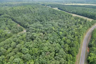 111 Cr 1511, Avinger, TX 75630 - Photo 1